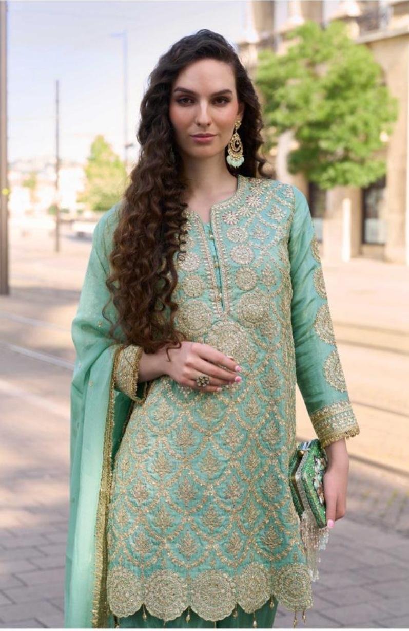 Pari Kameez suit - Image 5